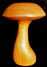 The Teak Mushroom is 20x12cm